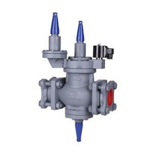 Inlet and Differential Pressure regulating Valve