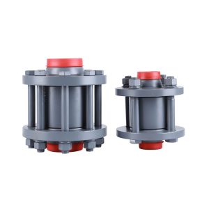 Neck Flange Check Valve